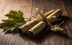 Traditional dried mugwort leaves and rolled moxa sticks tied with twine, resting on a rustic wooden surface — the raw herbal material used in moxibustion, one of the oldest therapeutic practices in Traditional Chinese Medicine