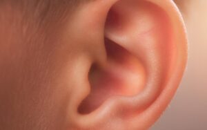 Close-up photograph of a human ear, soft side lighting revealing the delicate curves of the outer ear — representing acupuncture point Small Intestine 19 (Tinggong, Palace of Hearing), which governs ear health and the quality of listening in TCM