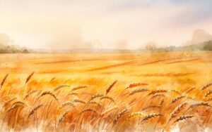 Watercolor illustration of a golden wheat field in warm amber tones, symbolizing the abundance and harvest of the Earth element in late summer (AI-generated)